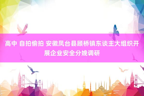高中 自拍偷拍 安徽凤台县顾桥镇东谈主大组织开展企业安全分娩调研