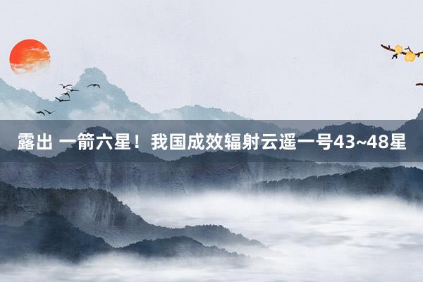 露出 一箭六星！我国成效辐射云遥一号43~48星