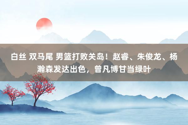白丝 双马尾 男篮打败关岛！赵睿、朱俊龙、杨瀚森发达出色，曾凡博甘当绿叶