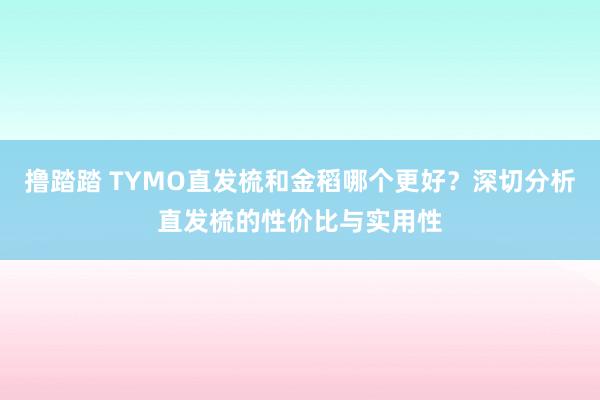 撸踏踏 TYMO直发梳和金稻哪个更好？深切分析直发梳的性价比与实用性