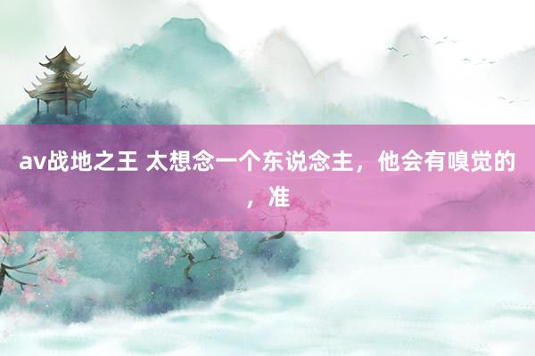 av战地之王 太想念一个东说念主，他会有嗅觉的，准