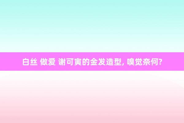 白丝 做爱 谢可寅的金发造型, 嗅觉奈何?