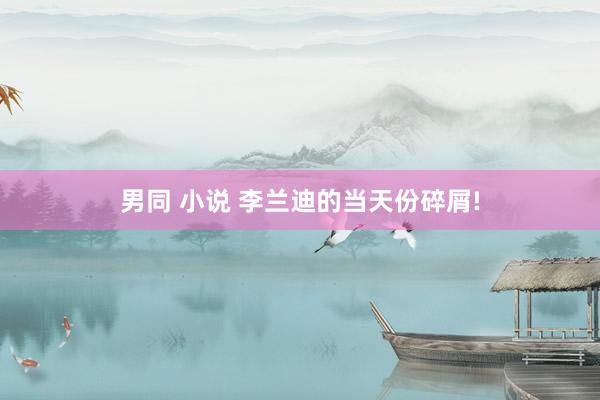 男同 小说 李兰迪的当天份碎屑!