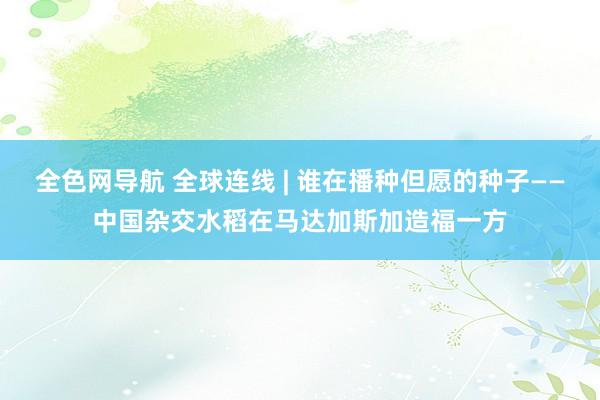 全色网导航 全球连线 | 谁在播种但愿的种子——中国杂交水稻在马达加斯加造福一方