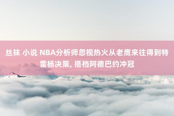 丝袜 小说 NBA分析师忽视热火从老鹰来往得到特雷杨决策, 搭档阿德巴约冲冠