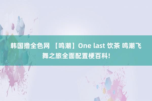 韩国撸全色网 【鸣潮】One last 饮茶 鸣潮飞舞之旅全面配置梗百科!