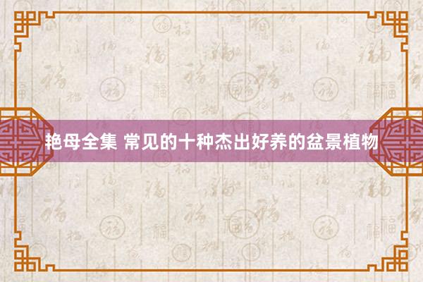 艳母全集 常见的十种杰出好养的盆景植物