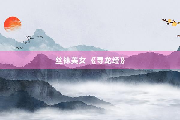 丝袜美女 《寻龙经》